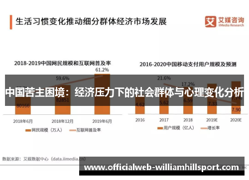 中国苦主困境：经济压力下的社会群体与心理变化分析